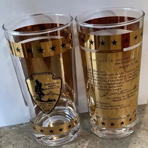 Vintage National Park Service Glass With Gold Reflective 12 Oz Glasses (4)
